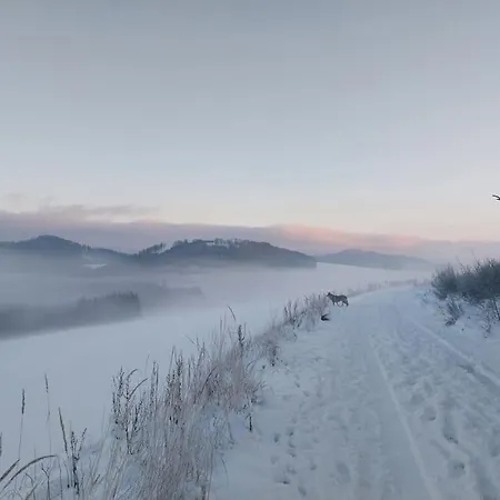 Haus Julia Direkt Am Hennesee Mitten Im Sauerland Meschede Exterior foto