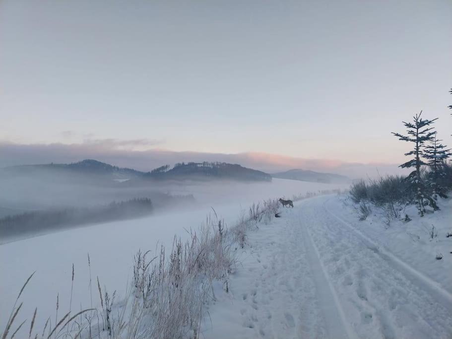 Haus Julia Direkt Am Hennesee Mitten Im Sauerland Ferienhaus *